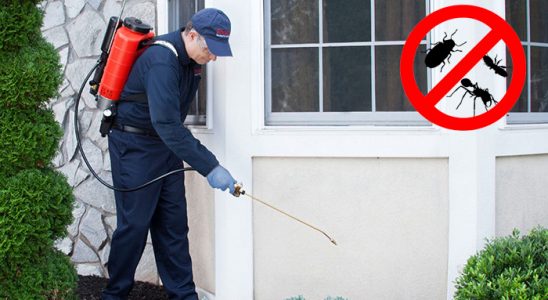 Gümüşhane Pire İlaçlama böcek ilaçlama ve haşere kontrolü — ilaclama-tr.com